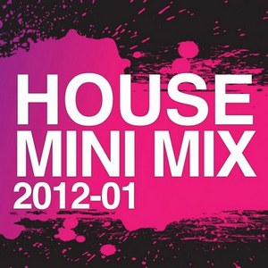 VA - House Mini Mix 2012 001 (2012)