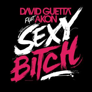 David Guetta feat. Akon - Sexy Bitch [Remixes & Edits] (2009)