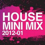 VA - House Mini Mix 2012 001 (2012)