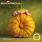 Solarsoul - Shining Sleep 028 (2011)