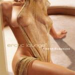 Erotic Lounge - Vol.7 (2008)